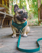 No Pull Dog Harness product image 21