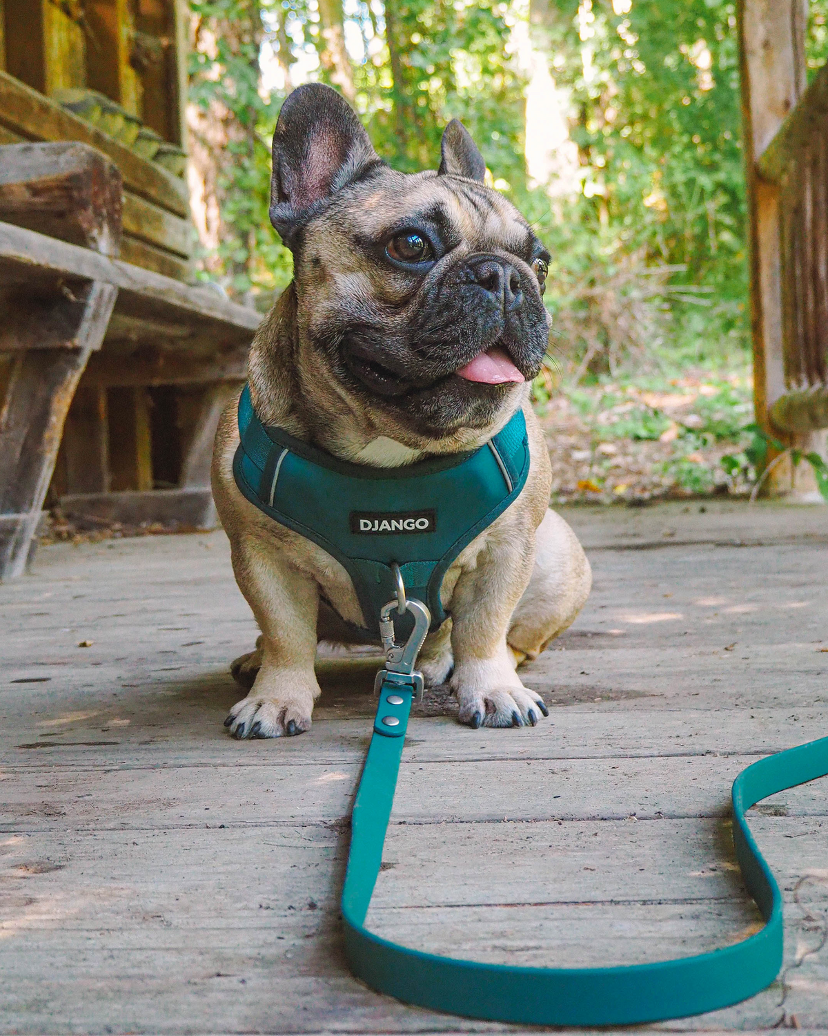 No Pull Dog Harness product image 21