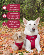No Pull Dog Harness product image 24