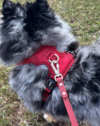 No Pull Dog Harness product image 25