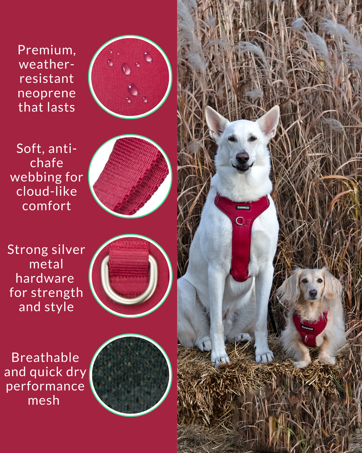 No Pull Dog Harness product image 26