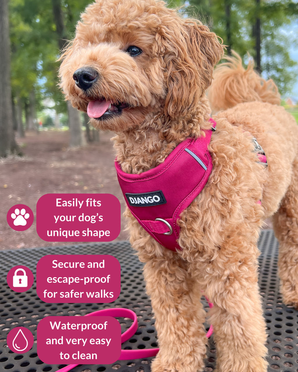 No Pull Dog Harness product image 33