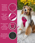 No Pull Dog Harness product image 34