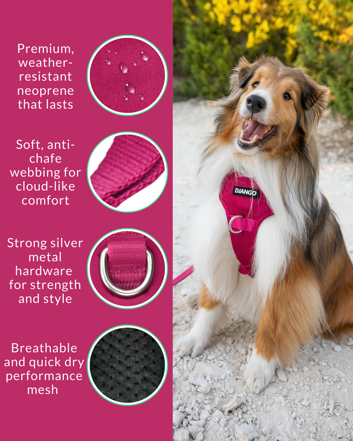 No Pull Dog Harness product image 34