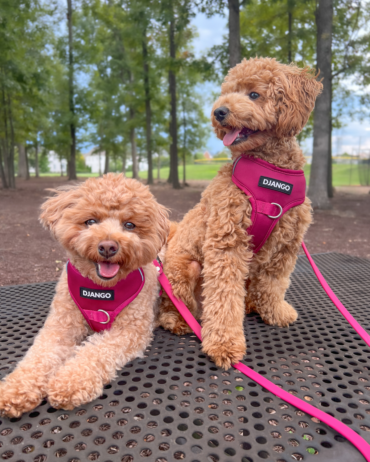 No Pull Dog Harness product image 36