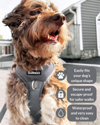 No Pull Dog Harness product image 39