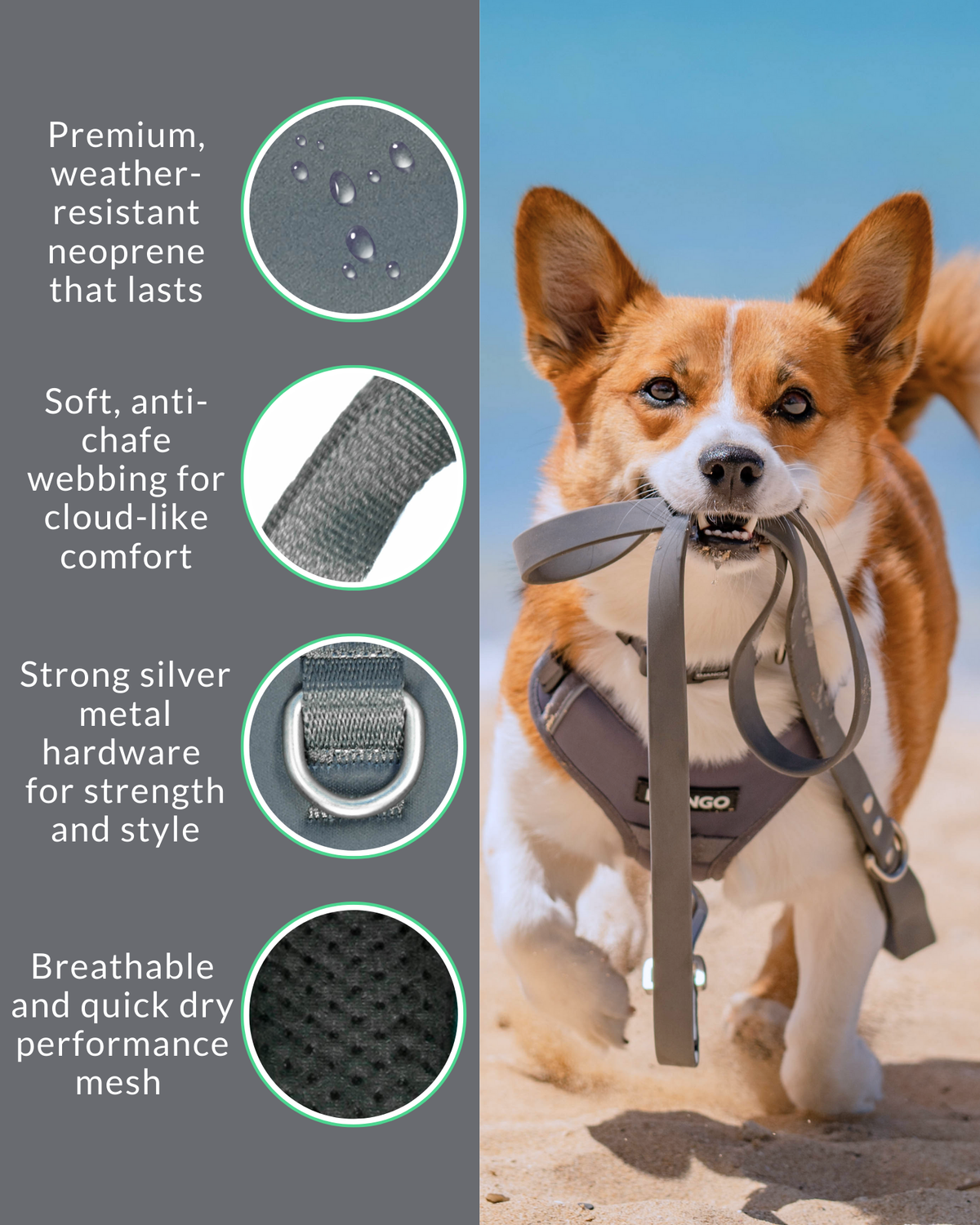 No Pull Dog Harness product image 40
