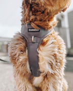 No Pull Dog Harness product image 44
