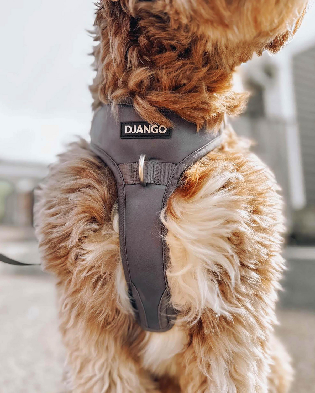 No Pull Dog Harness product image 44