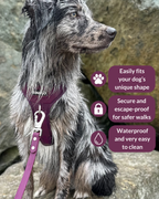 No Pull Dog Harness product image 46