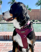 No Pull Dog Harness product image 48