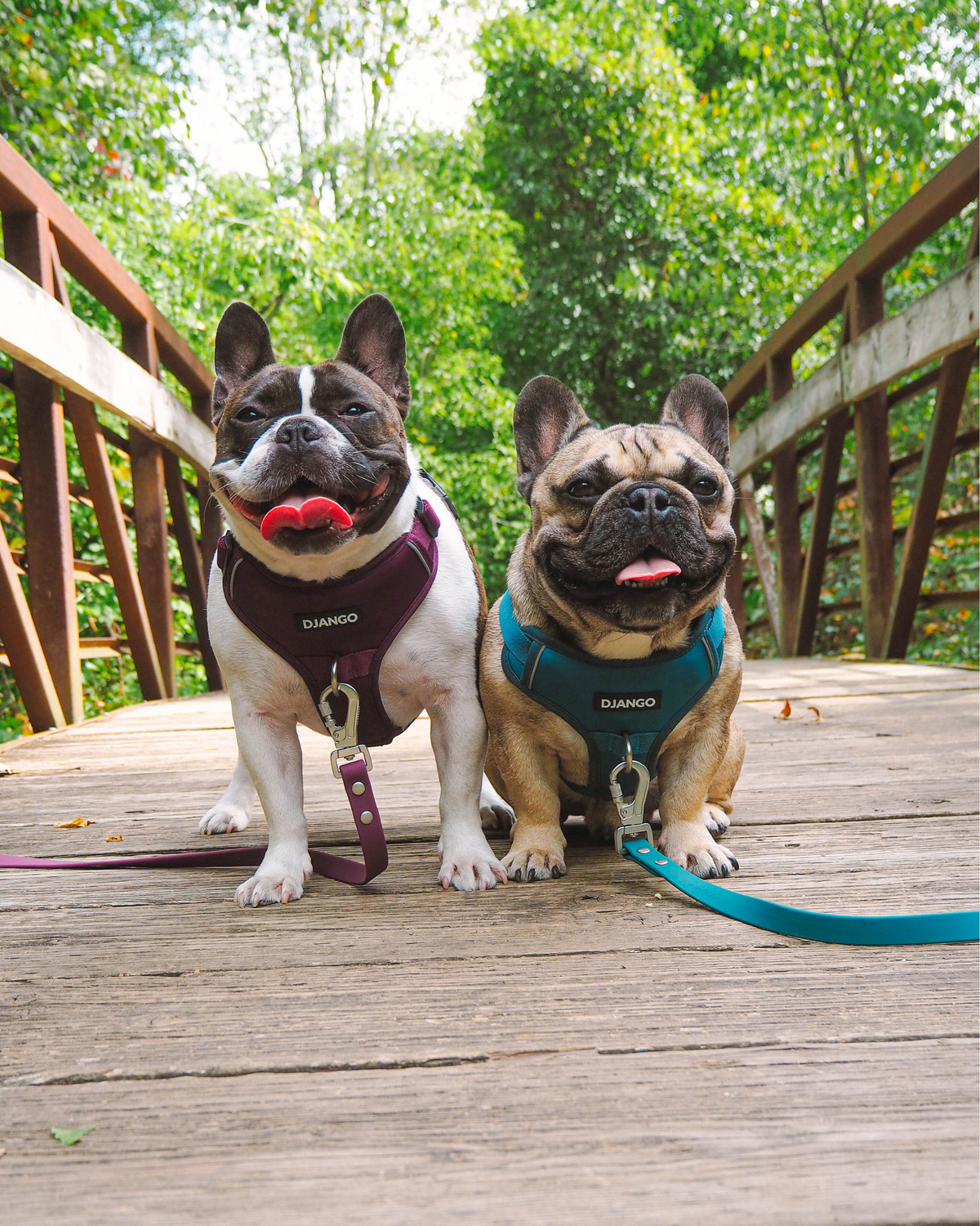 No Pull Dog Harness product image 50
