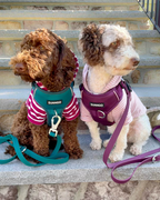 No Pull Dog Harness product image 52