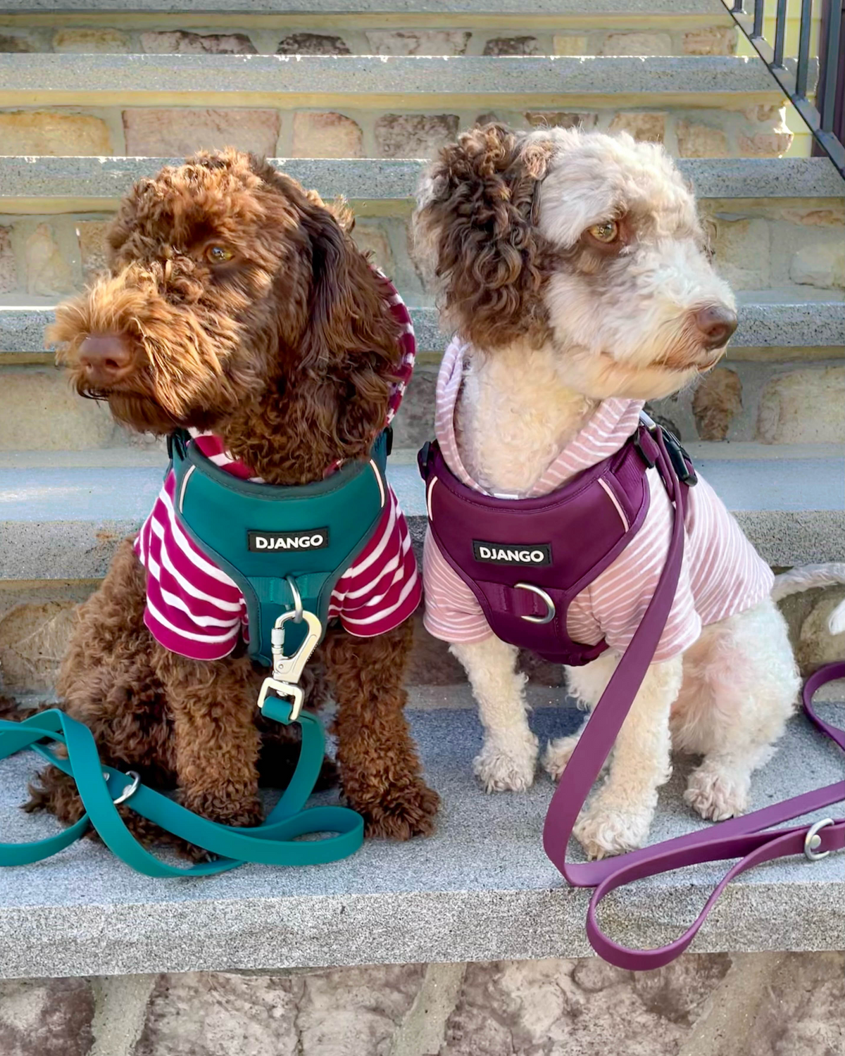 No Pull Dog Harness product image 52