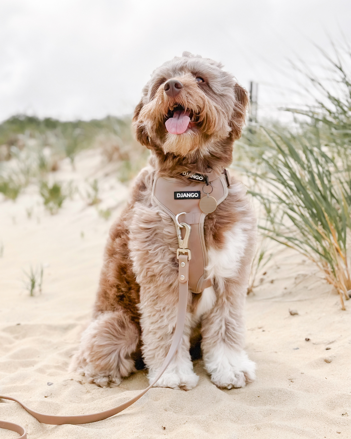 No Pull Dog Harness product image 54