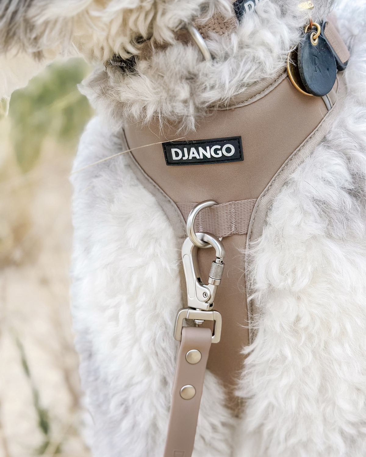 No Pull Dog Harness product image 57