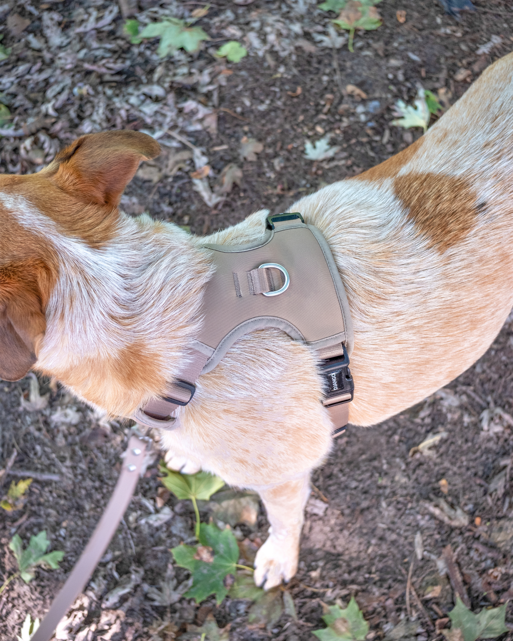 No Pull Dog Harness product image 59
