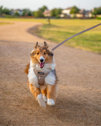No Pull Dog Harness product image 62