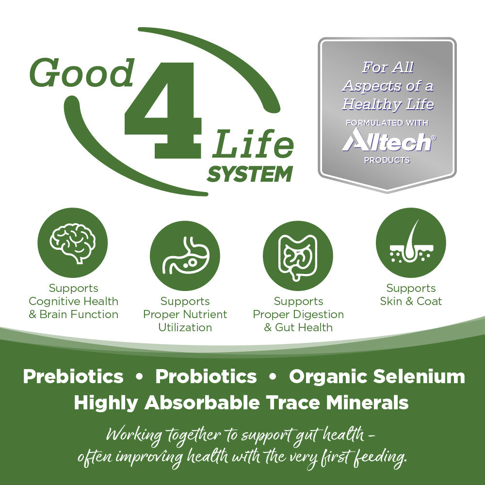 Limited Ingredient Dog Food product image 3