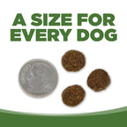 Limited Ingredient Dog Food product image 9