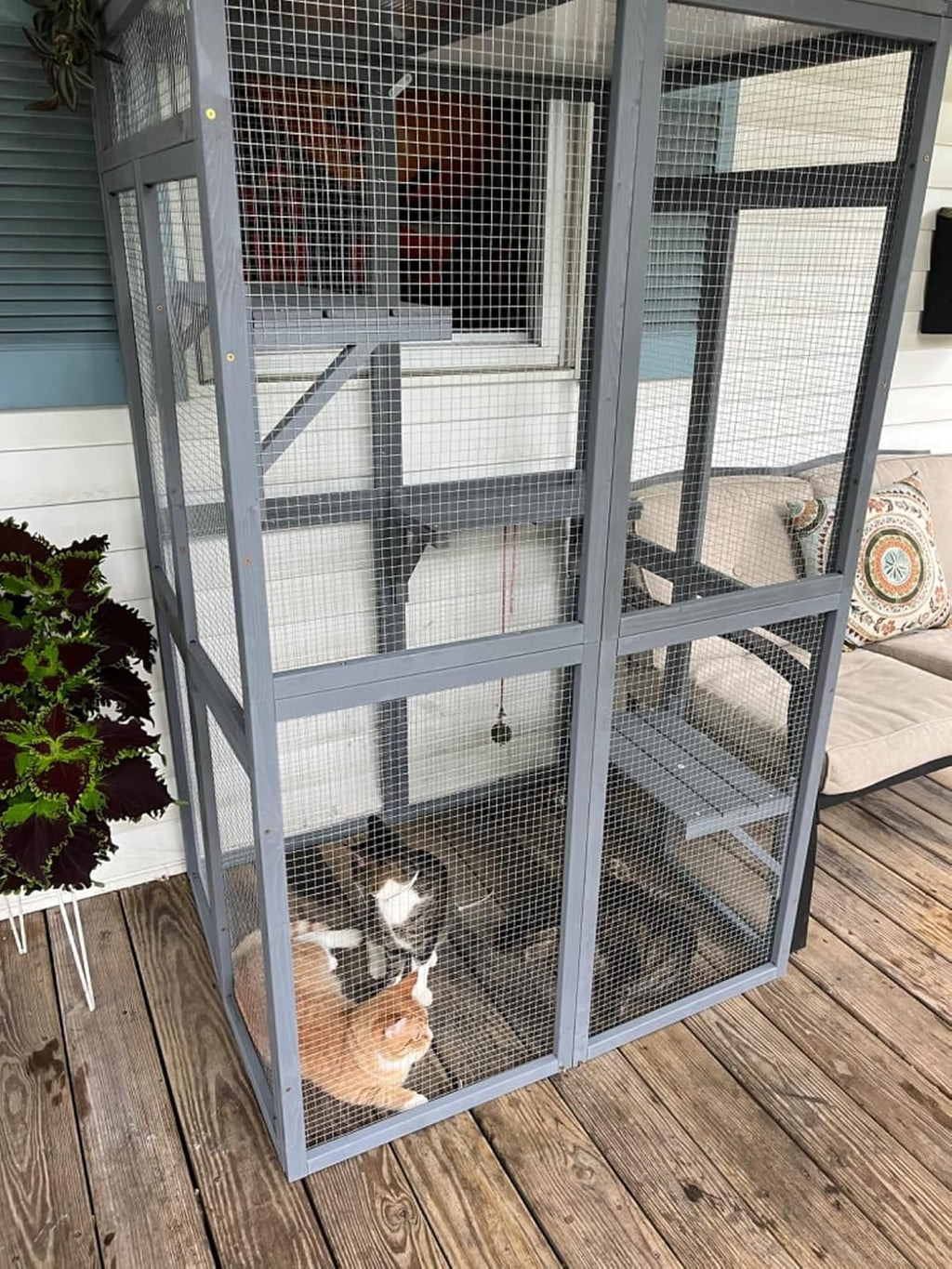 Outdoor Cat Catio product image 2