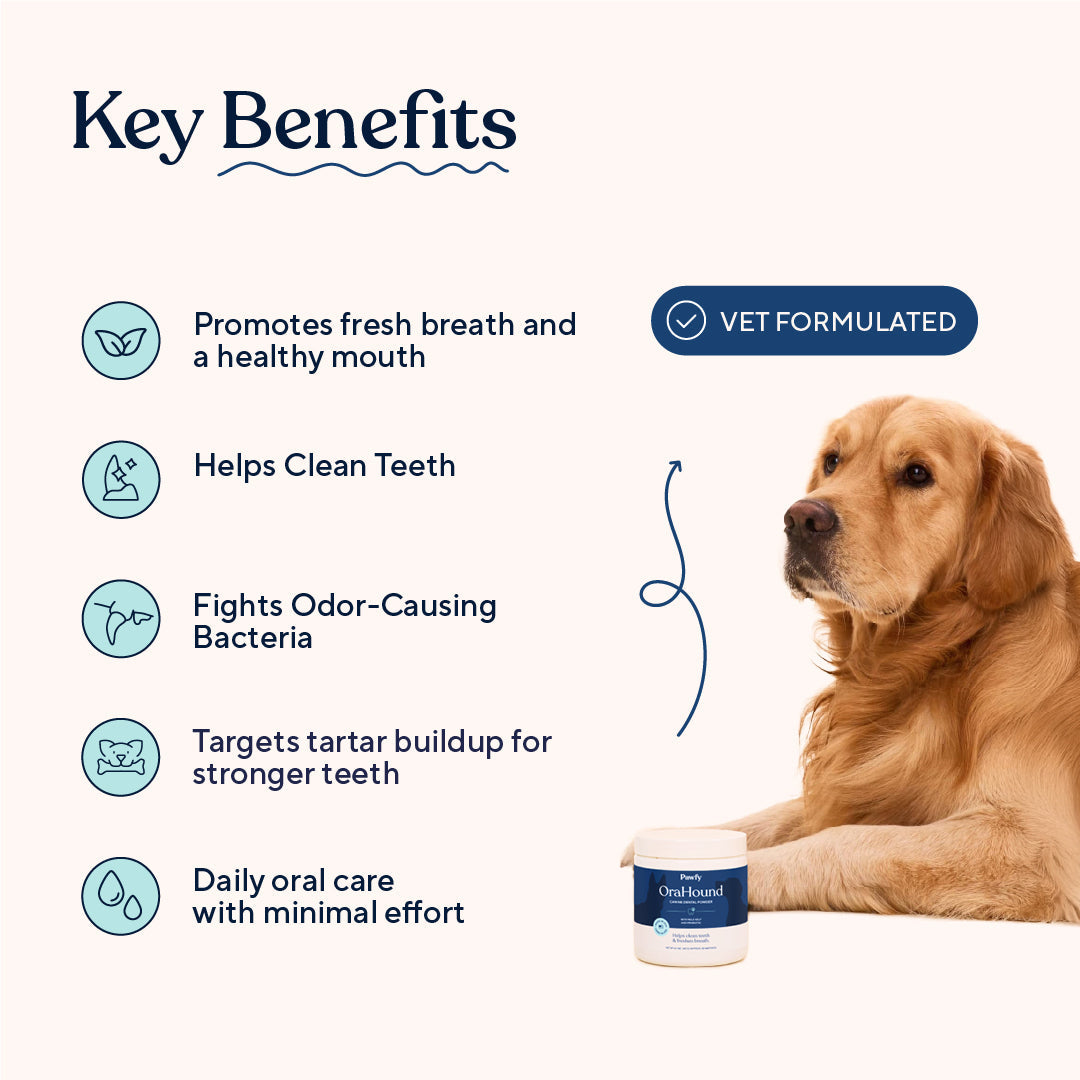 Dog Dental Powder product image 3