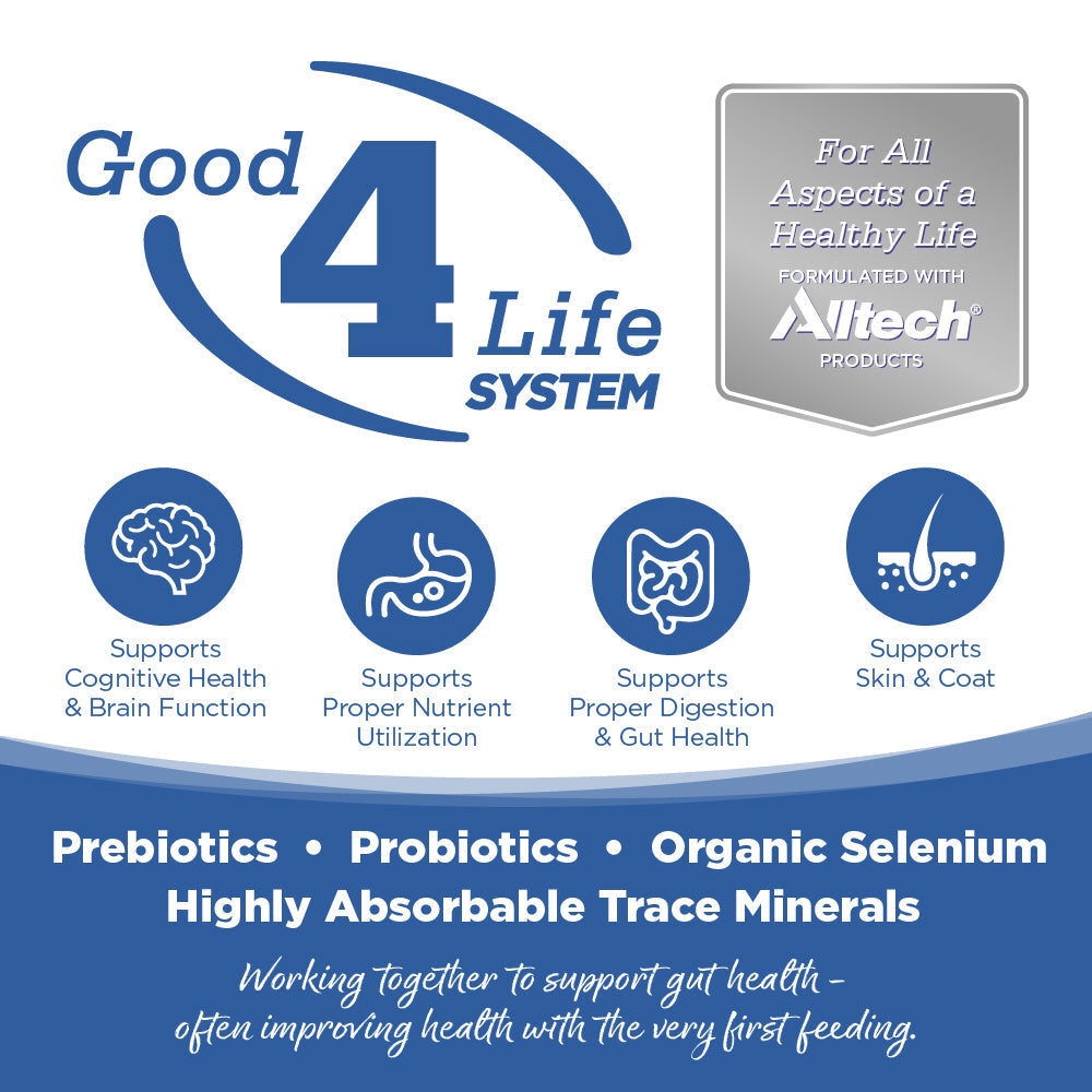 Limited Ingredient Dog Food product image 2