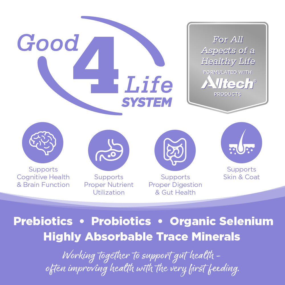 Grain Free Puppy Food product image 3