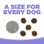 Grain Free Puppy Food product image 9