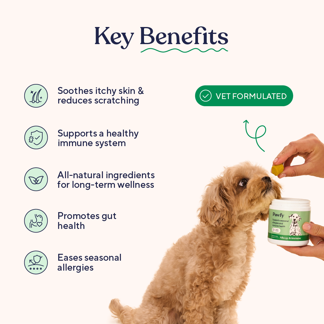 Dog Allergy Chews product image 5