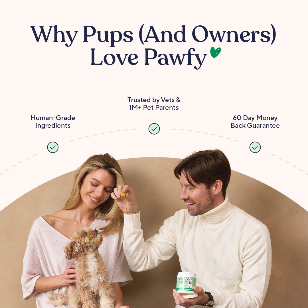 Dog Allergy Chews product image 6