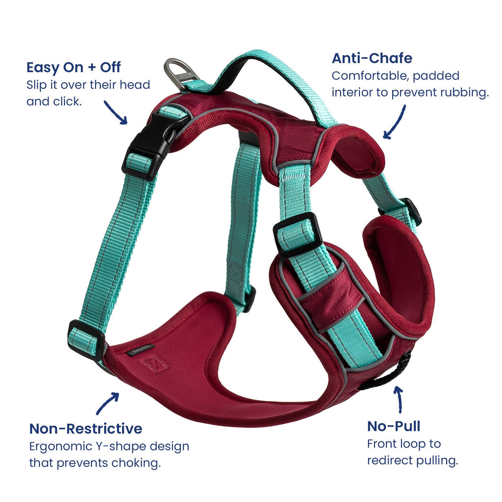 Dog Harness product image 2