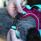 Dog Harness product image 4
