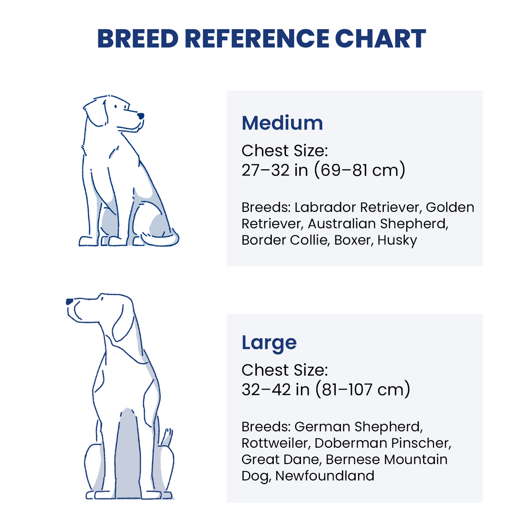 Dog Harness product image 7