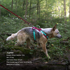 Dog Harness product image 8