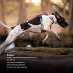 Dog Harness product image 9