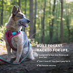 Dog Harness product image 10