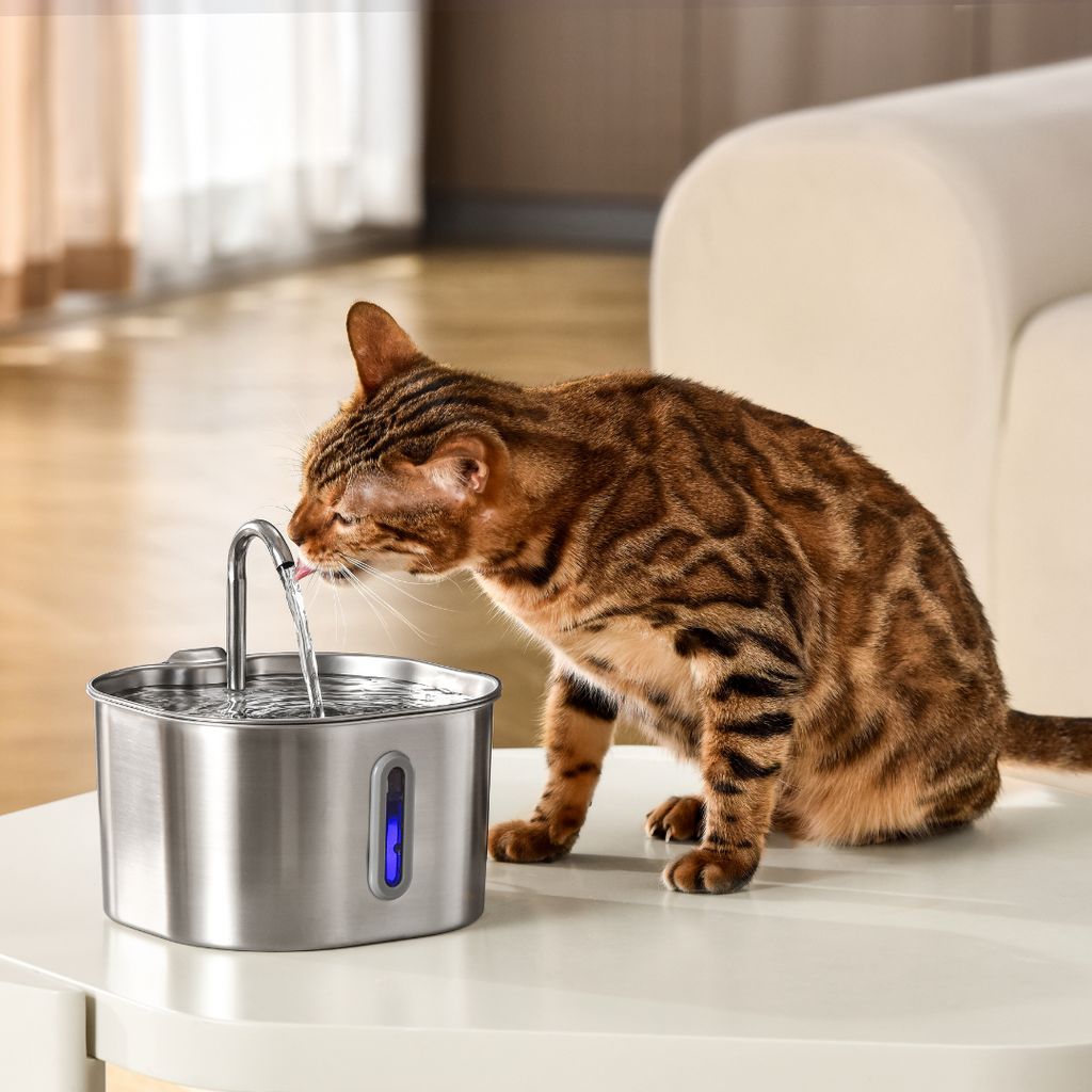 Pet Water Fountain Replacement Filter Sets product image 7