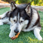 Smoked Chicken Feet Dog Treats product image 4