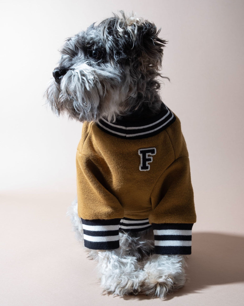 Dog Sweatshirt product image 1