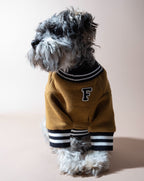 Dog Sweatshirt product image 1