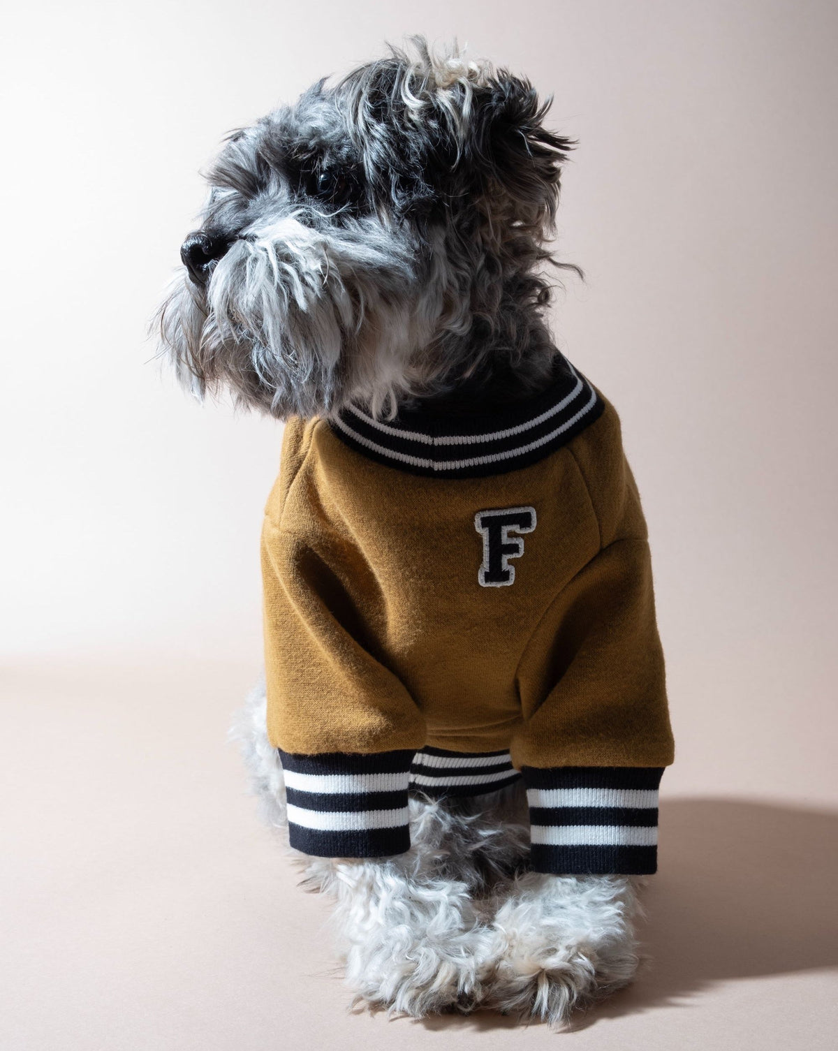 Dog Sweatshirt product image 1