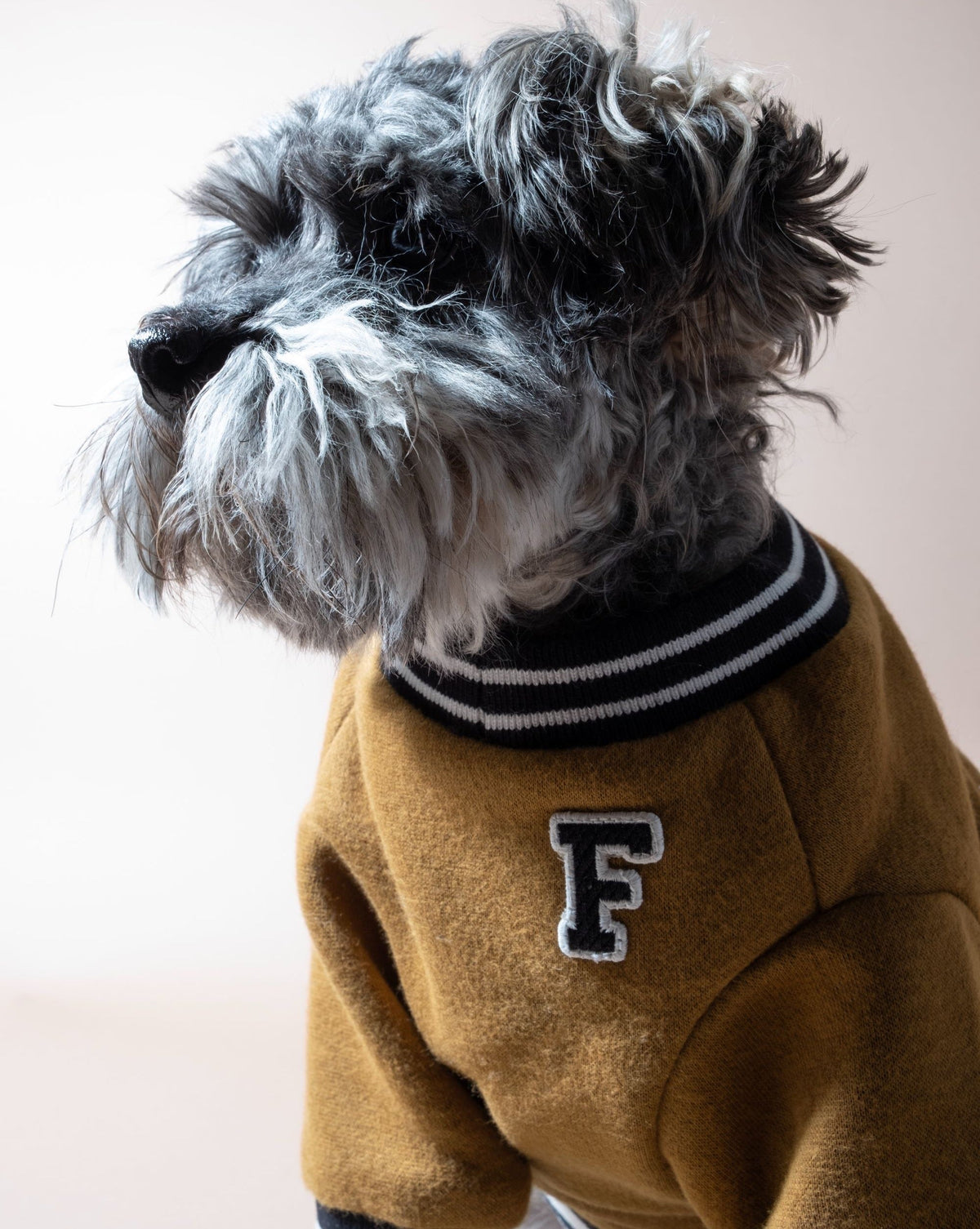 Dog Sweatshirt product image 3