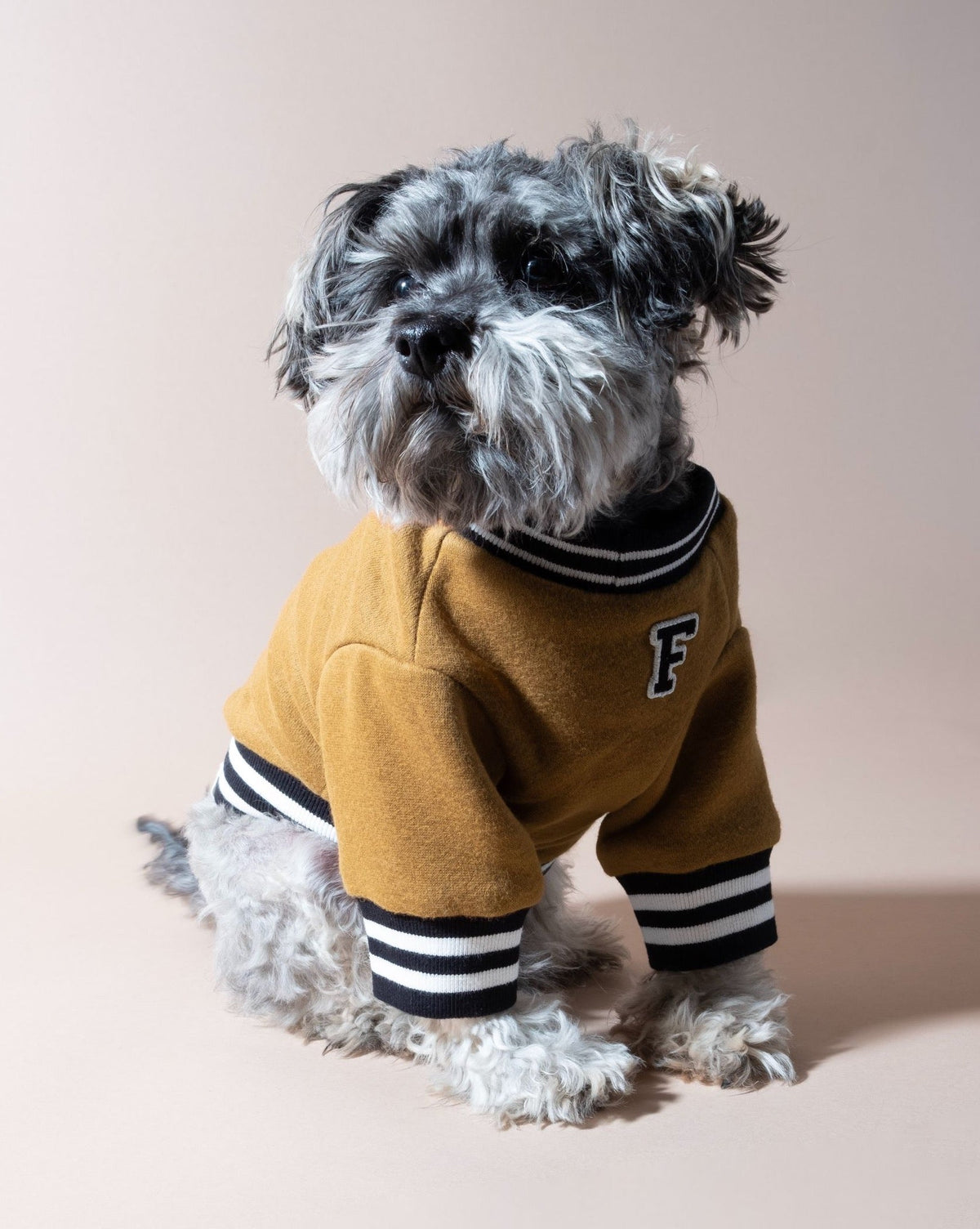 Dog Sweatshirt product image 8