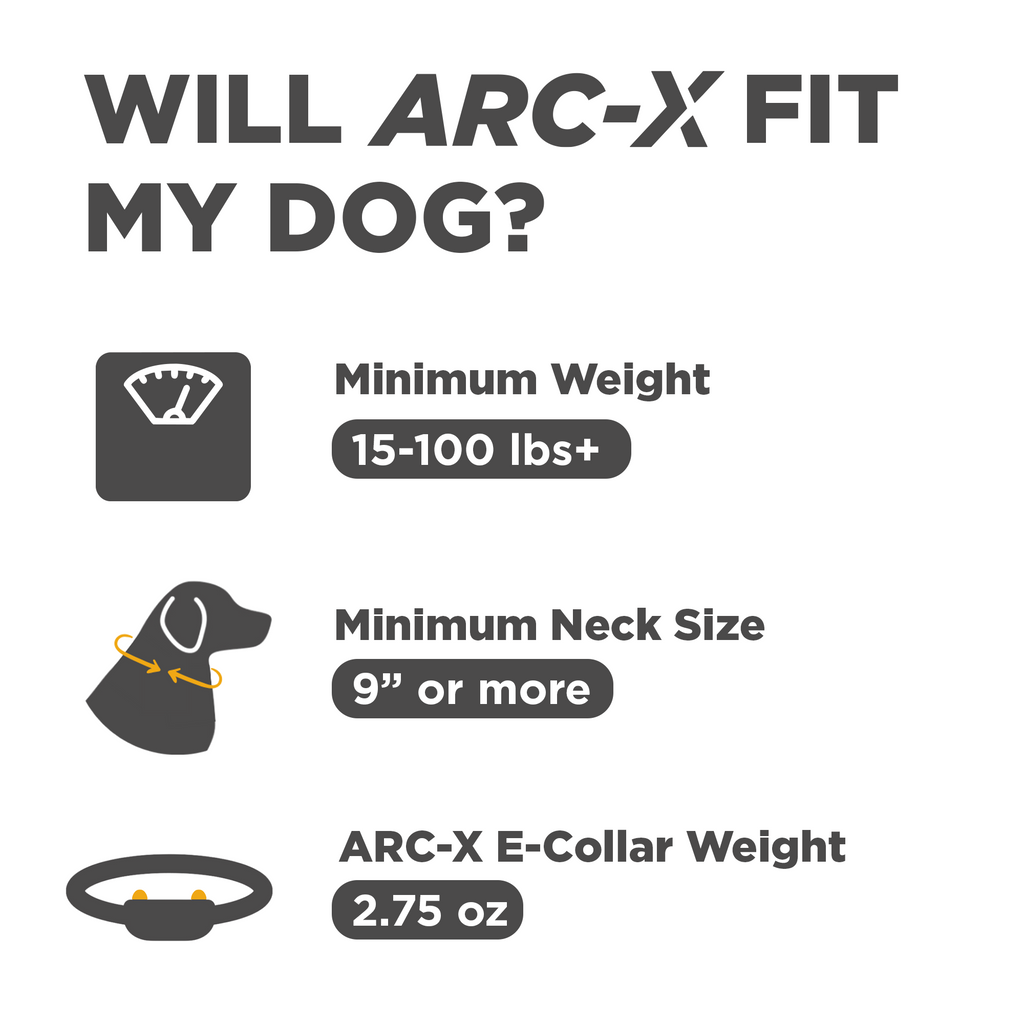 Remote Dog Training Collar product image 2