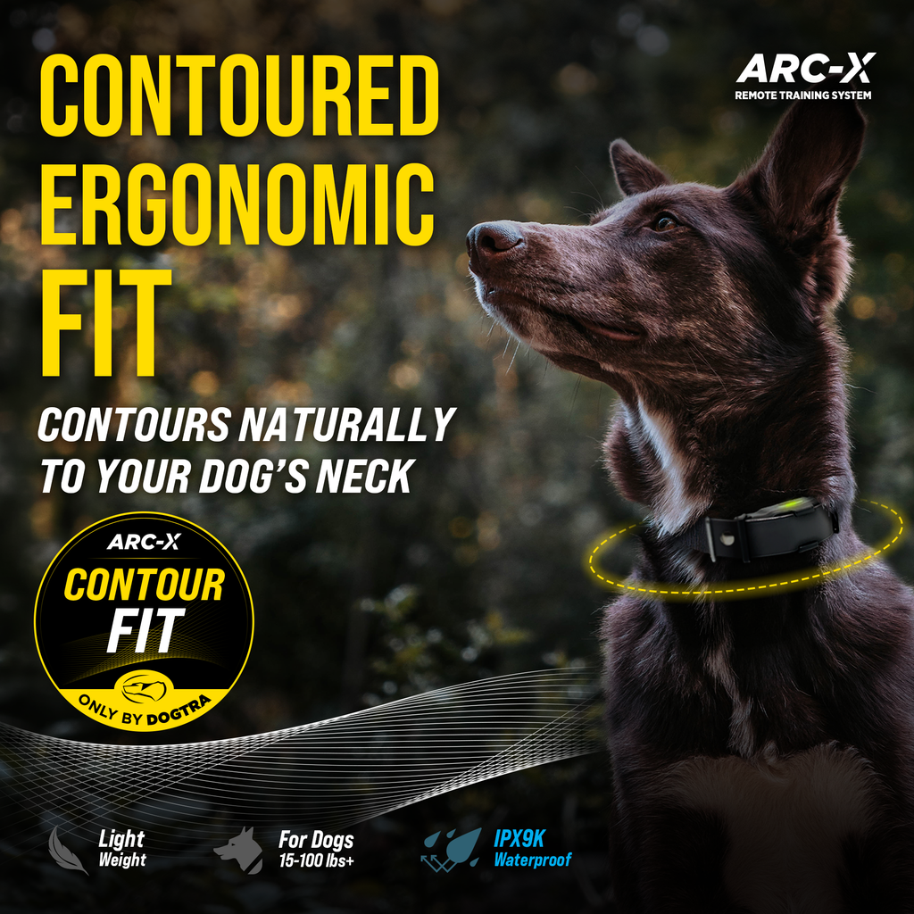 Remote Dog Training Collar product image 3