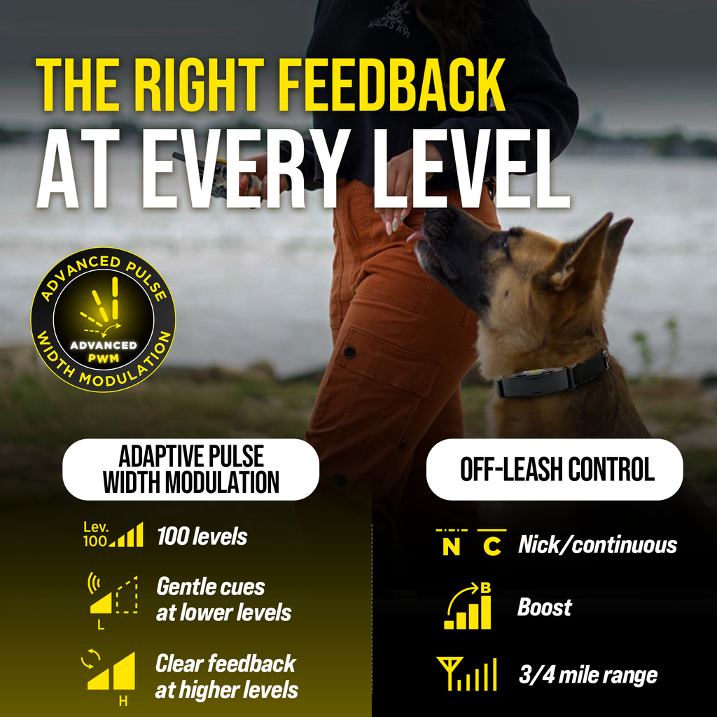 Remote Dog Training Collar product image 5