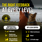 Remote Dog Training Collar product image 5