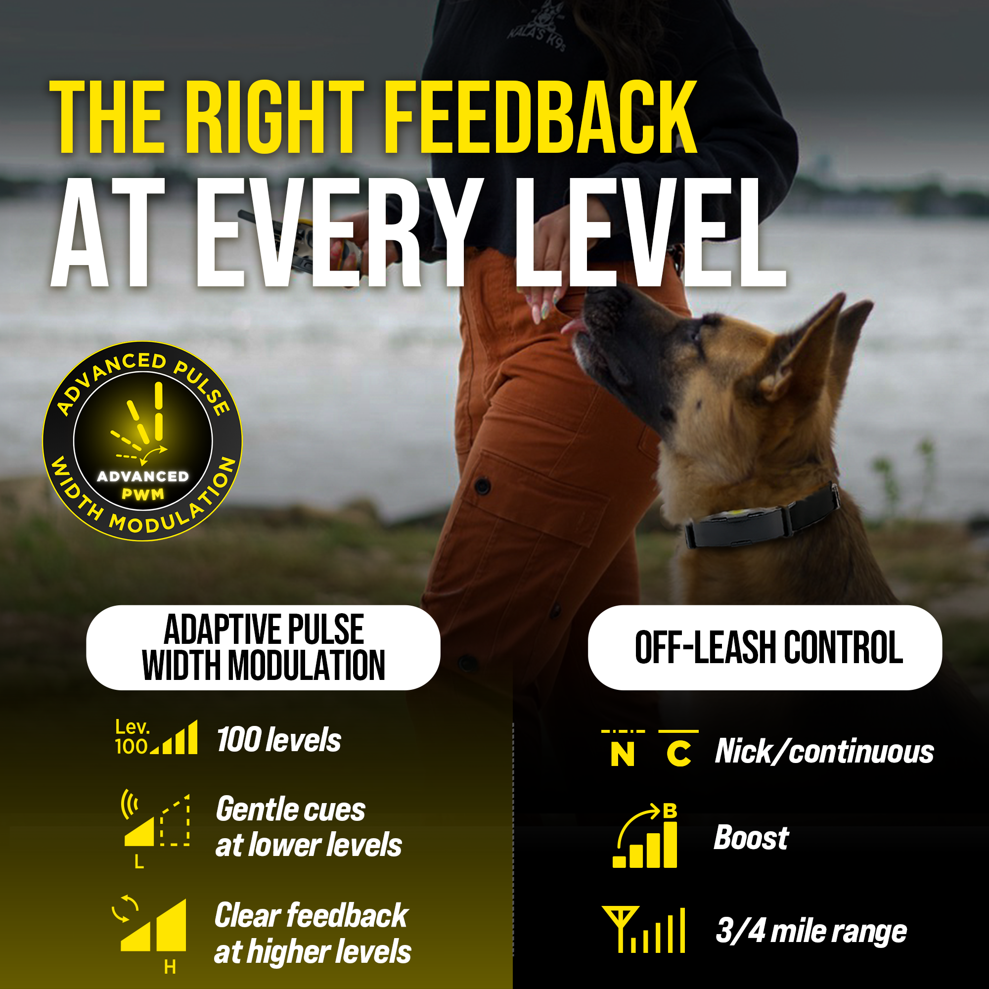 Remote Dog Training Collar product image 5