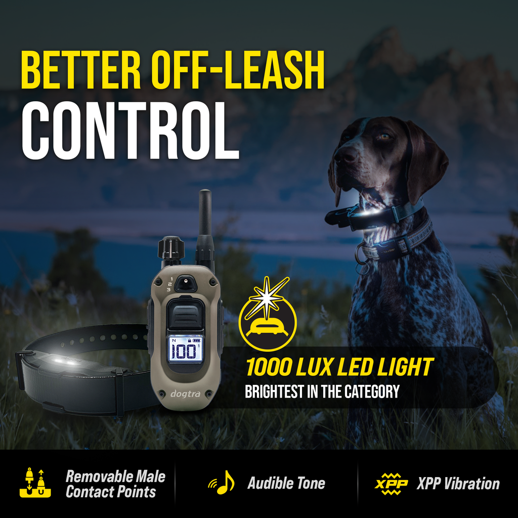 Remote Dog Training Collar product image 6